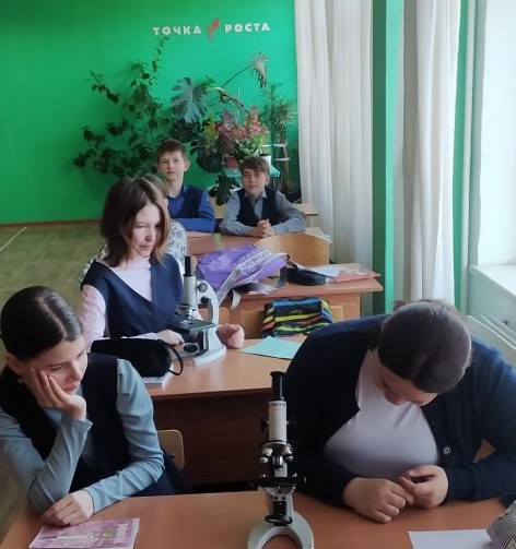 Лабораторный.jpg